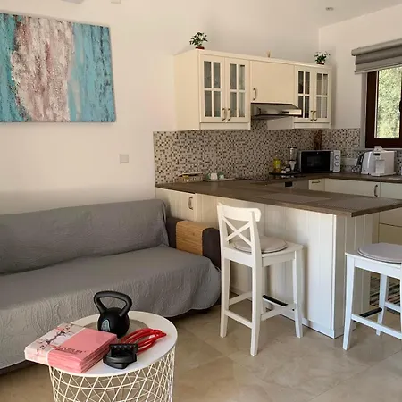 Sunny Captains House With A Pool Apartment